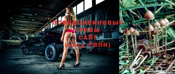 стаф Горно-Алтайск