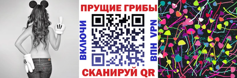 kraken как войти  Красноперекопск  Галлюциногенные грибы Psilocybe 