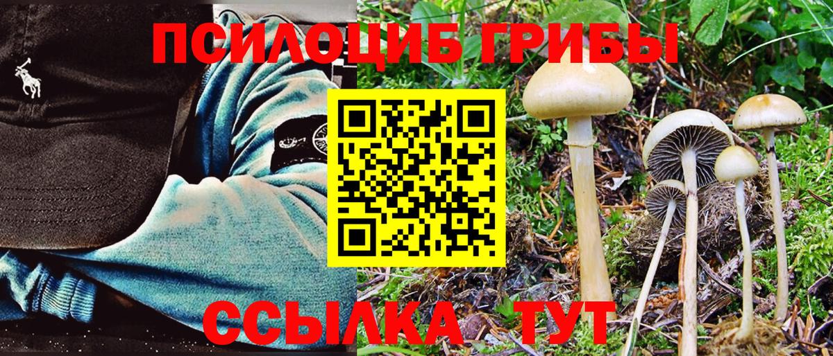 Галлюциногенные грибы Magic Shrooms Красноперекопск