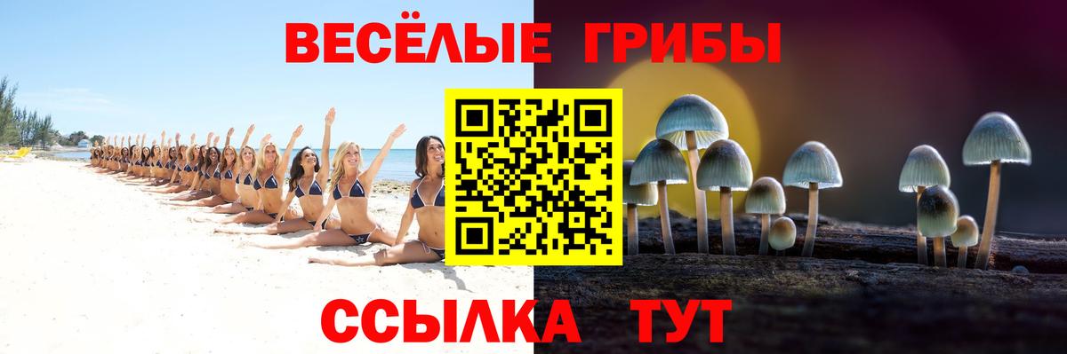 Псилоцибиновые грибы прущие грибы  Вход с VPN  Красноперекопск  Псилоцибиновые грибы мухоморы 